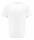 T-SHIRT HARVEST DEVONS BIANCO 100