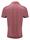 AMERICAN SUPREME POLO ROSSO MATTONE 484