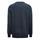 SCARSDALE SWEATER BLU CIELO 595