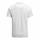 SCARSDALE POLO BIANCO 100