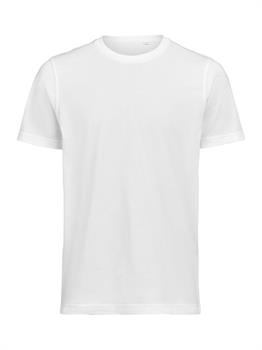 UM - T-SHIRT REGULAR FIT WHITE 100
