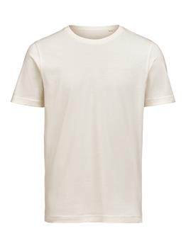 UM - T-SHIRT REGULAR FIT BIRCH 170