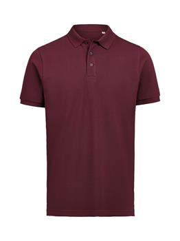 UM - POLO REGULAR FIT PRUNE 490