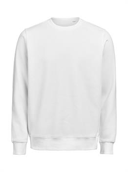 UM - CREWNECK REGULAR FIT WHITE 100
