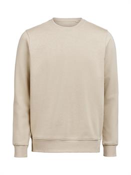 UM - CREWNECK REGULAR FIT LATTE 179