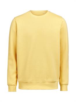 UM - CREWNECK REGULAR FIT RAY 205