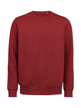 UM - CREWNECK REGULAR FIT BRICK 480