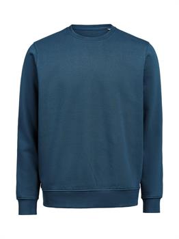 UM - CREWNECK REGULAR FIT ORION 626