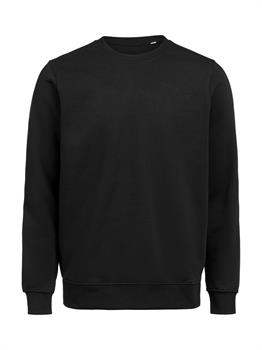 UM - CREWNECK REGULAR FIT BLACK 900