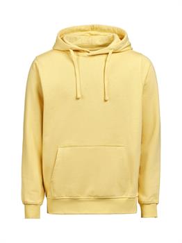 UM - HOODIE REGULAR FIT RAY 205