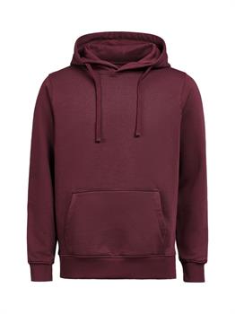 UM - HOODIE REGULAR FIT PRUNE 490