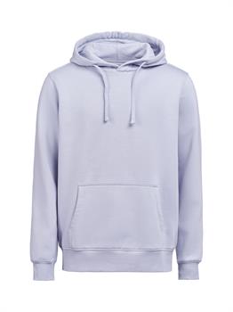 UM - HOODIE REGULAR FIT ASTER 505