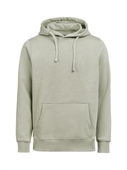 UM - HOODIE REGULAR FIT SAGE 750